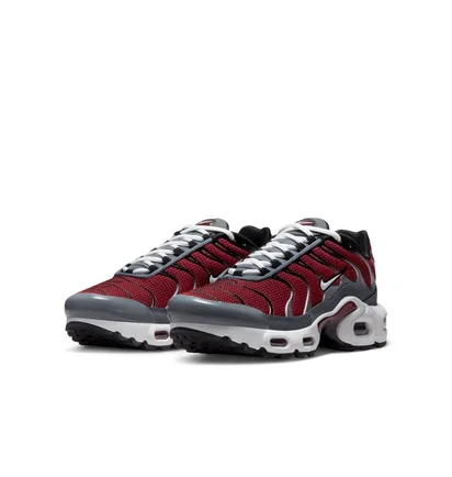 Кросівки дитячі Nike Air Max Plus Gs Bordo/Grey CD0609-602