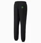 Штаны мужские Puma X Santa Cruz Black 532245-01