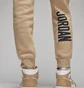 Штаны мужские Air Jordan Flight Mvp Beige Dv7596-277