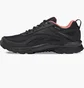 Кроссовки женские Reebok Ridgerider 6 Gtx Black FW9640