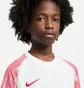 Футболка детская Nike Dri-Fit Academy White DH8369-100