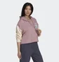 Худи женское Adidas Modern B-Ball Hoodie Brown Hd9784