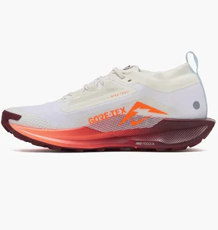 Кроссовки мужские Nike Pegasus Trail 5 Gtx White FQ0908-104