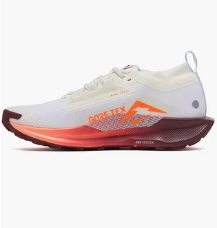 Кроссовки мужские Nike Pegasus Trail 5 Gtx White FQ0908-104