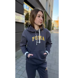 Спортивний костюм жіночий Puma WomenS Sports Suit Grey 692674-13__692668-13