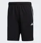 Шорты мужские Adidas Tr-Es Piq 3Sho Black Ib8243