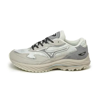 Кросівки чоловічі Mizuno Wave Rider Beta Gtx Grey D1GA245501