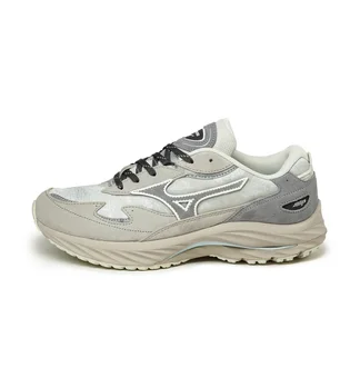 Кроссовки мужские Mizuno Wave Rider Beta Gtx Grey D1GA245501