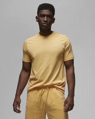Футболка чоловіча Air Jordan T-Shirt Essentials Yellow DX9577-266