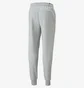 Штаны мужские Puma Essentials+ 2 Col Logo Grey 586767-04