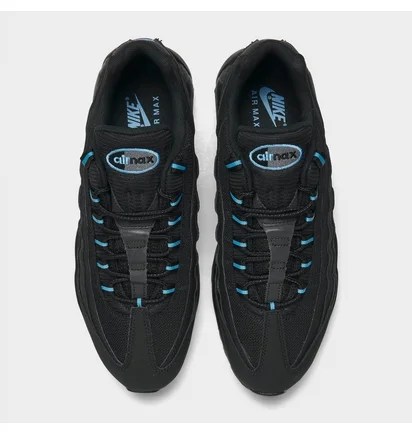 Кросівки чоловічі Nike Air Max 95 Casual Shoes Black FJ4217-002