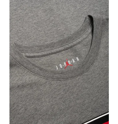 Футболка чоловіча Air Jordan Sticker Grey CJ6246-091