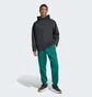 Штаны мужские Adidas Z.N.E. Tracksuit Bottoms Green JF6387