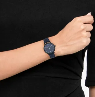 Часы женские Casio Timeless Collection LTP-VT02BL-2A