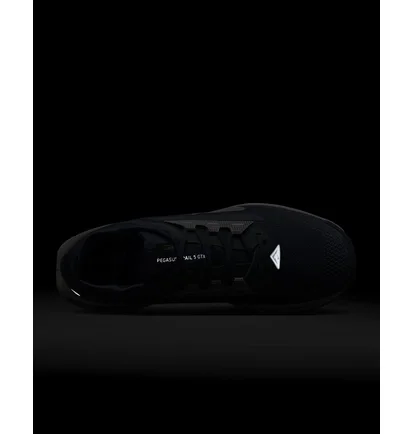 Кросівки жіночі Nike Pegasus Trail 5 Gore-Texwaterproof Trail Running Shoes Blue FQ0912-400