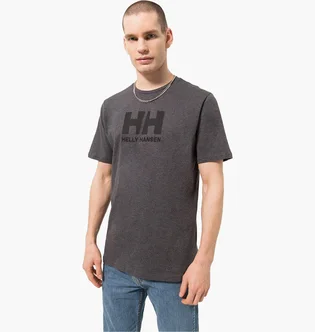 Футболка мужская Helly Hansen Logo T-Shirt Grey 33979982