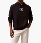 Худи мужское Calvin Klein Hoodie Black 40EM842-001