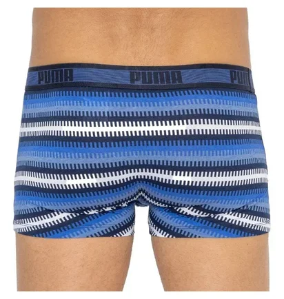 Трусы мужские Puma Worldhood Stripe Trunk Blue/Grey (2 шт) 501004001-010