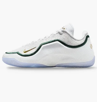 Кросівки унісекс Nike Lebron Xxiii From This Point Forward Basketball Shoes White HJ5629-101
