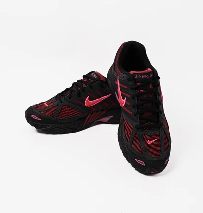 Кроссовки унисекс Nike Pegasus 2K5 Black/Bordo FJ1912-001