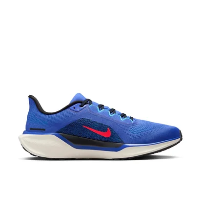 Кросівки чоловічі Nike Air Zoom Pegasus 41 Blue FD2722-401