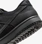Кросівки чоловічі Nike Dunk Low Retro Black IB7746-001