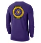 Лонгслив мужской Nike Los Angeles Lakers Crest Logo Violet CK8656-547