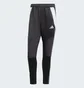 Штаны мужские Adidas Tiro 24 Winterized Black IM9974