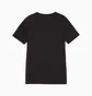 Футболка детская Puma Evostripe Youth Tee Black 676276-01