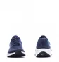 Кроссовки мужские Nike Revolution 7 Blue FB2207-400
