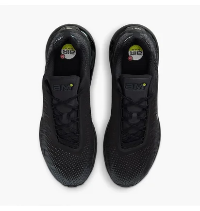 Кросівки чоловічі Nike Air Max Phoenix Black FZ5307-004