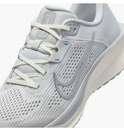 Кроссовки женские Nike Quest 6 Grey FD6034-007