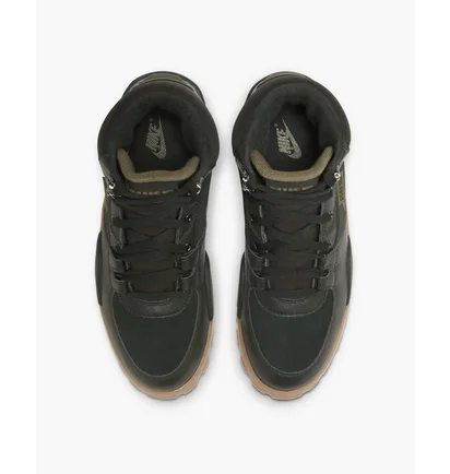 Кроссовки мужские Nike Rhyodomo Gore-Tex Black CQ0186-300