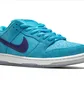 Кроссовки унисекс Nike Sb Dunk Low Pro Blue BQ6817-400