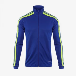 Олимпийка мужская Adidas Squadra 21 Training Jacket Blue GP6466