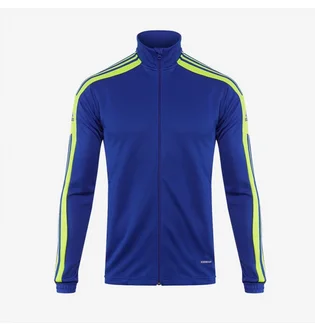 Олимпийка мужская Adidas Squadra 21 Training Jacket Blue GP6466