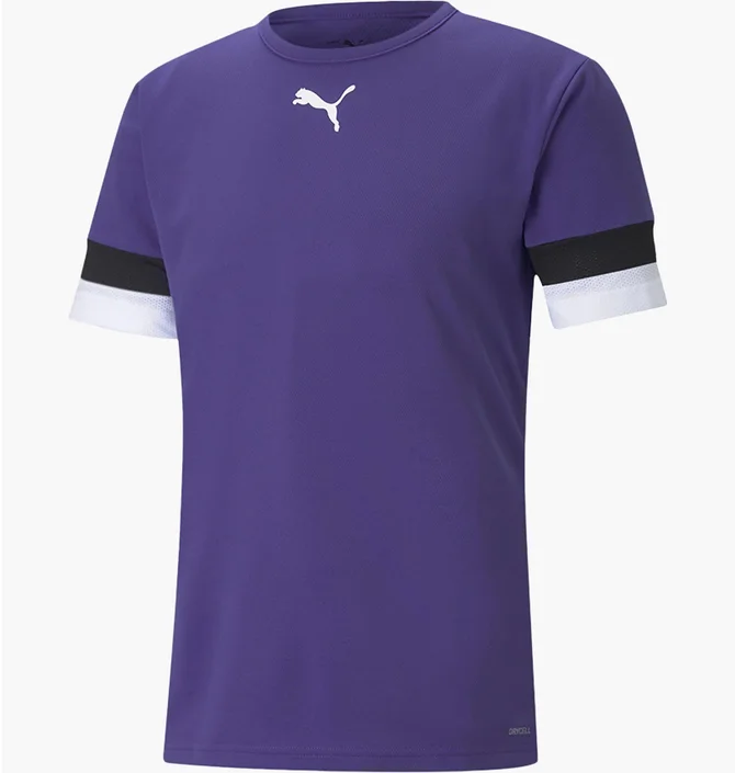 Футболка мужская Puma Teamrise Jersey Violet 704932-10
