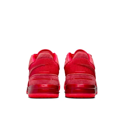 Кроссовки унисекс Nike Zoom Lebron Nxxt Gen Ampd Red FJ1566-600