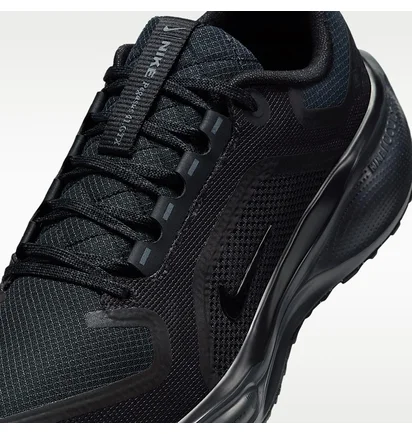 Кросівки чоловічі Nike Pegasus 41 Gore-Tex Waterproof Road Running Black FQ1357-001