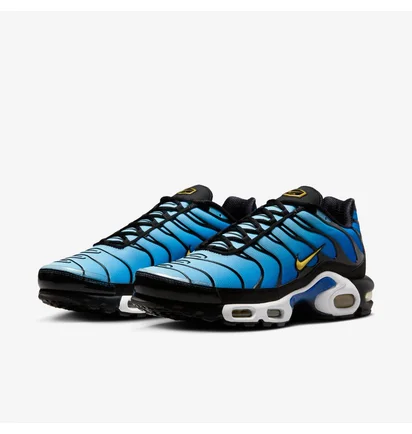 Кроссовки мужские Nike Air Max Plus Og Blue DX0755-001