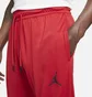 Штаны мужские Air Jordan Dri-Fit Air Red CZ4790-687