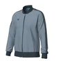 Олимпийка мужская Arena Relax Iv Teajacket Grey 002723-550