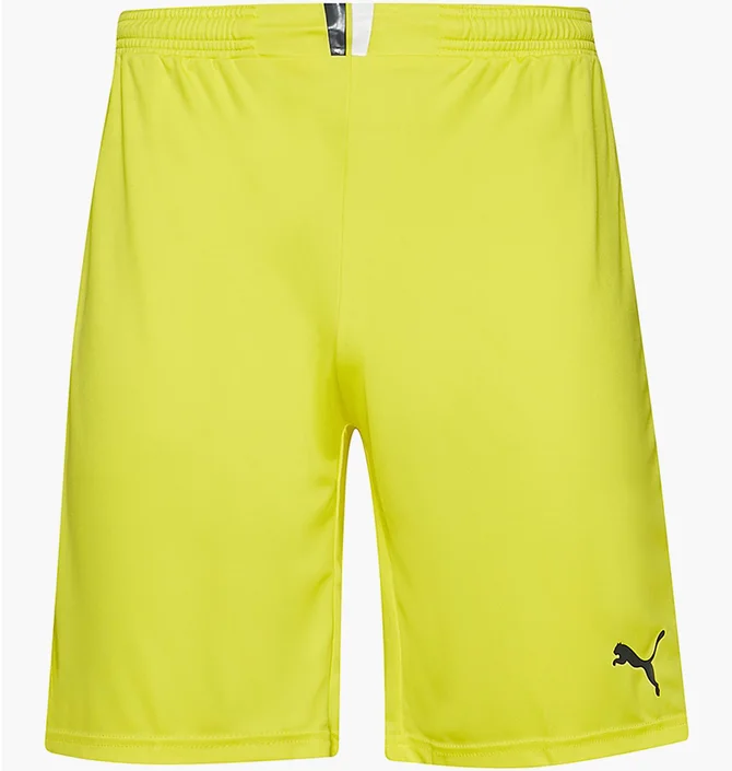 Шорты мужские Puma King Yellow 701701-37