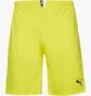 Шорты мужские Puma King Yellow 701701-37
