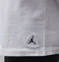 Футболка мужская Air Jordan Flight Base T-Shirt 2-Pack White JM0625-001