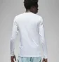 Лонгслив мужской Air Jordan T-Shirt Sport White FD7004-100