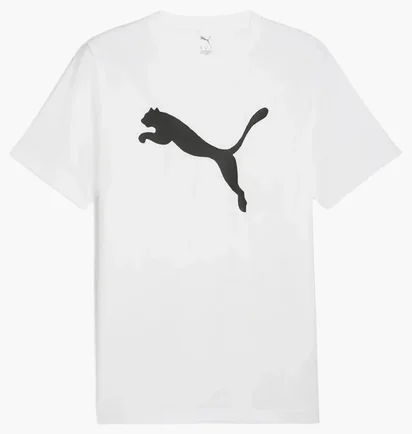 Футболка мужская Puma Essential Tee White 682536-02