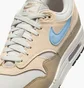 Кроссовки мужские Nike Air Max 1 Beige FZ5808-009