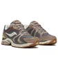 Кросівки жіночі Saucony Progrid Triumph 4 Brown/Grey S70937-3