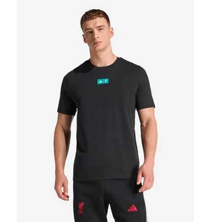 Футболка мужская Adidas Lfc Szn Gr Black JW7903